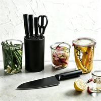 Ensemble de 5 couteaux de cuisine en acier inoxydable à haute teneur en carbone, lames antiadhésives avec manche en plastique, couteau de chef écologique