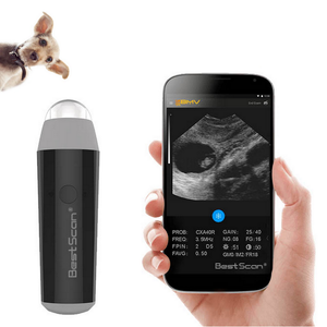 Dokter Hewan portabel, mesin <span class=keywords><strong>ultrasound</strong></span> tanpa kabel mini Vet <span class=keywords><strong>probe</strong></span> wifi domba babi kambing mesin <span class=keywords><strong>ultrasound</strong></span> - Product Image 1