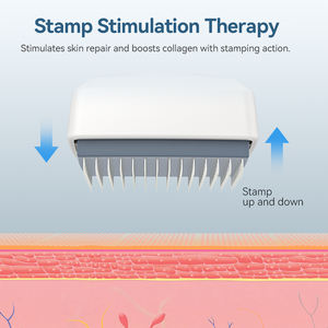 Pabrik grosir Derma <span class=keywords><strong>Roller</strong></span> DRS140 pribadi 0.5mm Microneedling <span class=keywords><strong>Stainless</strong></span> <span class=keywords><strong>Steel</strong></span> cap Titanium - Product Image 4