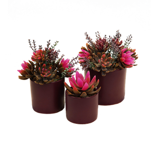 Natural Real Landscape Room decorazione per interni piccoli <span class=keywords><strong>Bonsai</strong></span> <span class=keywords><strong>Mini</strong></span> piante succulente artificiali - Product Image 1