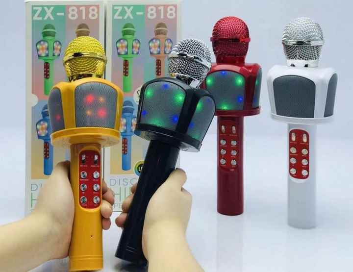 Wireless Mini Speaker - ZX-818 with Built-in Microphone