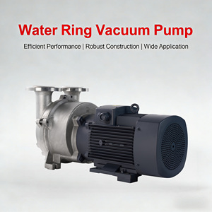 ปั๊มวงแหวน NASH 2BV5111 ประสิทธิภาพสูง 13 กิโลวัตต์ ทนทานต่อการกัดกร่อน สำหรับการผลิตยาฆ่าแมลง - Product Image 1