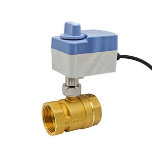 Vanne à bille électrique en laiton, étanche IP65, motorisée avec fonction de commutation manuelle, 1/2" 3/4" 1" 12V/24V/220V - Product Image 1