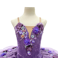 Tutu de ballet professionnel ombré violet pour enfants, costume de ballerine de compétition, variation lilas, La Belle au bois dormant, polyester/rayonne