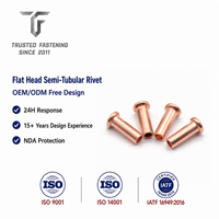 Rivets semi-tubulaires à tête plate en acier inoxydable TianFang pour supports d'éclairage, finition passivée, fourniture OEM
