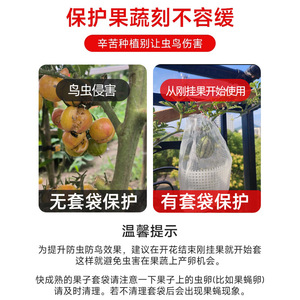 Fruit <b>Mesh</b> Bag 10x20x30cm Anti Uv <b>Insect</b> Bird Protection For Grape Fig Melon Pomegranate Orange Agricultural Planting - Product Image 5