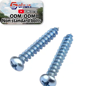 Solar Mounting Structure Self Tapping Screw: Durable Screws for Solar Panel Installation