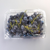Kotak Kemasan Plastik PET Transparan Food Grade untuk Buah Segar Stroberi dan Blueberry, Ukuran 1lb/1.5lb/2lb