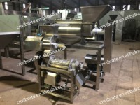 Industriële automatische citruspers met dubbele schroefpers, industriële wortelsap-extractiemachine