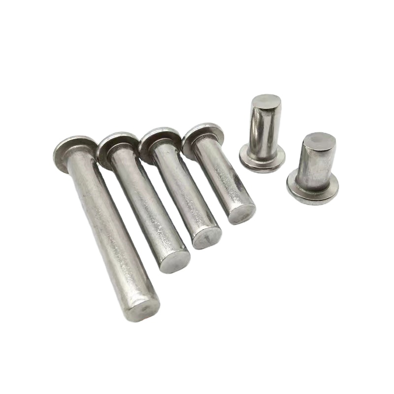 Prix usine Support personnalisé en acier inoxydable aluminate tête de dôme ronde Rivets solides tête de champignon Rivets solides 5*10mm