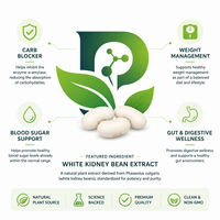 Poudre d'extrait de haricot blanc (Phaseolus Vulgaris L.) de qualité alimentaire, extrait végétal, Phaseolamine 1%, inhibiteur d'amylase, en flacon