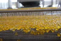 Machine à fabriquer des boules de gelée d'agar de konjac à bulles éclatantes, équipement pour les boules de jus éclatantes pour les boissons au bubble tea
