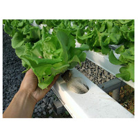 Système hydroponique complet en tunnels de tuyaux PVC, système hydroponique NFT pour légumes et laitues