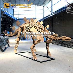 MY DINO Fósil <span class=keywords><strong>de</strong></span> Dinosaurio Jurásico, <span class=keywords><strong>Esqueleto</strong></span> Realista <span class=keywords><strong>de</strong></span> Estegosaurio en Venta - Product Image 6