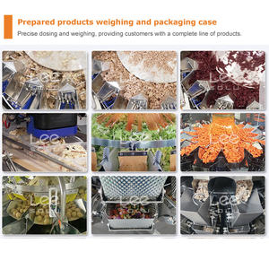 Máquina Automática Eléctrica para Envasar en Bolsas con Sellado Trasero, para Papas Fritas Congeladas, Samosas, Albóndigas, Siomai y Dumplings - Product Image 4