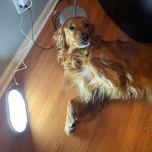 <span class=keywords><strong>Lampe</strong></span> de luminothérapie, éclairez votre vie, les bienfaits de la <span class=keywords><strong>lampe</strong></span> SAD - Product Image 4