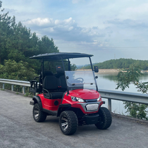 Tongcai 2025 thiết kế mới sang trọng off road điện 48V 72V pin lithium 4 chỗ ngồi Golf giỏ hàng - Product Image 6
