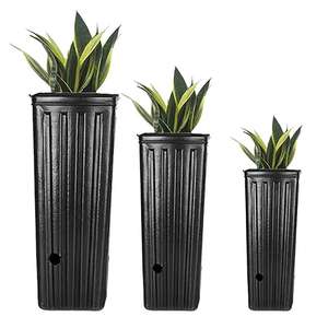 Pot de culture en plastique surélevé pour semis, pot de pépinière pour la culture des oranges Navel - Product Image 2