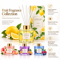 Salle de bain surdimensionnée personnalisable de qualité supérieure pour diffuseur de roseau Parfum de cheveux du fournisseur unique de qualité supérieure Verre coloré parfumé DIY