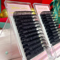 Extensions de cils en cachemire de qualité supérieure 0.03 0.05 0.07mm Courbure CC/CC/D/DD Extensions de cils en vison à marque privée