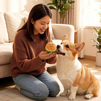 Jouet en peluche pour chien, hamburger résistant aux morsures, pour la dentition, prix de gros compétitif, produits pour animaux de compagnie