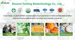 Poudre d'extrait végétal de qualité alimentaire de <span class=keywords><strong>Sceletium</strong></span> <span class=keywords><strong>Tortuosum</strong></span> (Kanna) aux rapports 50:1 et 100:1 - Product Image 6