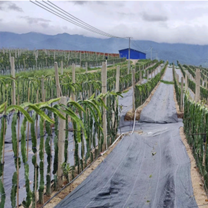 Làm vườn chống cỏ lưới cỏ dại rào cản cảnh quan vải dệt che phủ mặt đất vải cho nhà kính - Product Image 1