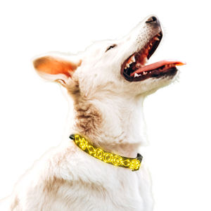 USB recargable LED luces perro <span class=keywords><strong>Collar</strong></span> noche cachorro seguro luminoso intermitente <span class=keywords><strong>collar</strong></span> poliéster suministros para mascotas - Product Image 4