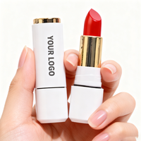 Rouge à lèvres mat vegan longue tenue et waterproof, en gros pour OEM, faible MOQ, avec logo personnalisé et marque privée