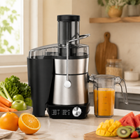 Extracteur de Jus Électrique Commercial HGM en Acier Inoxydable, Mixeur et Blender, Machine à Jus pour la Maison, Vente en Gros OEM ODM