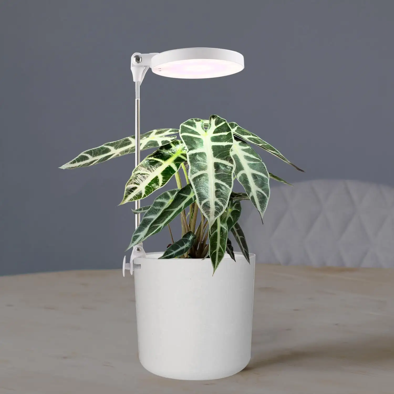 Planteur LED Intelligent pour culture de plantes d'intérieur, cm, lampes décoratives, éclairage d'horiculture