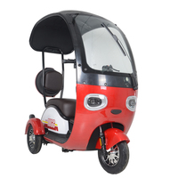 Tricycle électrique avec toit, cyclomoteur, tricycle électrique