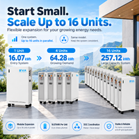 Baterai Surya LiFePO4 SWA 16kWh 51.2V 314Ah IP65 Dilengkapi Pemanas WiFi Bluetooth hingga 16 Unit Paralel Dapat Diperluas Penyimpanan Energi Rumah OEM