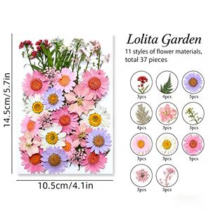 ชุดดอกไม้แห้งอัดเม็ดขนาดใหญ่ สีผสม สำหรับตกแต่งเคสมือถือ ที่คั่นหนังสือ ทำเอง ได้โดยตรงจากโรงงาน - Product Image 2