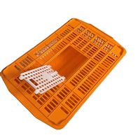 Caisse de transport pour cailles en plastique, cage de transport pour volailles, boîte à cailles