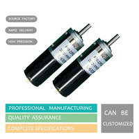 Moteur à engrenages CC miniature personnalisé 22 mm 6 V, bobinage sans noyau, 0,3 Nm, 200 tr/min, couple élevé, PFM-22P, micro-moteur à engrenages pour stores automatiques