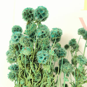 Tela <span class=keywords><strong>de</strong></span> seda artificial <span class=keywords><strong>de</strong></span> tallo único <span class=keywords><strong>de</strong></span> alta calidad, flor <span class=keywords><strong>de</strong></span> <span class=keywords><strong>semilla</strong></span> <span class=keywords><strong>de</strong></span> Scabiosa para boda, para boda - Product Image 6