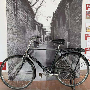 28 Ấn Độ Mô Hình Truyền Thống Xe Đạp/Chu Kỳ/Xe Đạp - Product Image 1