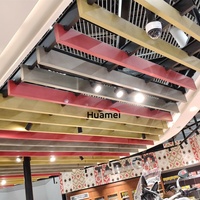 Panneaux acoustiques modernes en fibre de verre ignifuges pour plafonds de hôtels et hôpitaux - Tailles personnalisables, installation suspendue