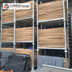 Estantería de Almacenamiento de Carga Posterior Extraíble Directo de Fábrica, Estantería Apilable para Almacén - Product Image 1