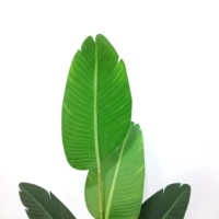 Bananes artificielles en plastique de haute qualité, 105 cm, 5 feuilles vertes, décoration intérieure pour sol/table, durables et écologiques