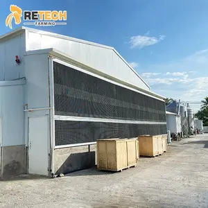 Automatic Poultry Equipment with Manure Removal Broiler Chicken Cage System for Sale