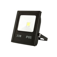 Super luminosité industrielle IP66 lampe d'extérieur mince étanche 30W 50W 100W 150W 200W 250W 300W 10W COB Led projecteur