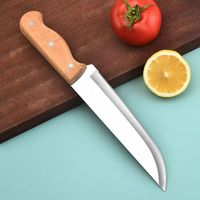 Ensemble de couteaux de cuisine professionnels en acier inoxydable avec manche en bois, technique d'affûtage de précision