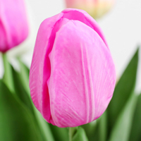 Vente en gros de tulipes artificielles à tige unique, effet toucher réel, pour mariage, événement, décoration de la maison, vase de bureau