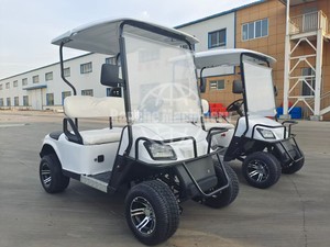Nuevo Carro Eléctrico de Patrulla Abierto de 6-8 Asientos con Asientos Orientados Hacia Adelante para Parques Temáticos, Fabricante BUGGYPRO, Fácil Mantenimiento, Certificado ISO9000 y CE - Product Image 2