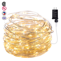 Holiday Outdoor 100 LED Lichterketten 10m 220v 110v Weihnachts hochzeits feier Weihnachts licht