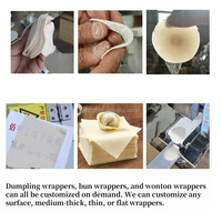 Machine à faire des raviolis multifonctionnelle de table pour la maison, machine à emballer les raviolis et les feuilles de pâte à wonton pour usage domestique aux États-Unis