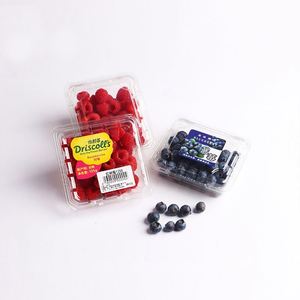 Almohadillas para Frutas, Fresa/Arándano, 76x76mm, Venta al por Mayor para Supermercados, Almohadillas Absorbentes de Agua de Alta Calidad para Carne de Pollo y Aves, Grado Alimenticio - Product Image 4