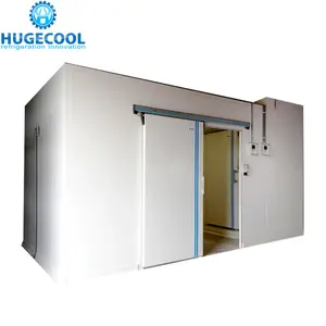 Подгонянная раздвижная дверь размера и температуры или комната морозильной камеры шарнирной двери